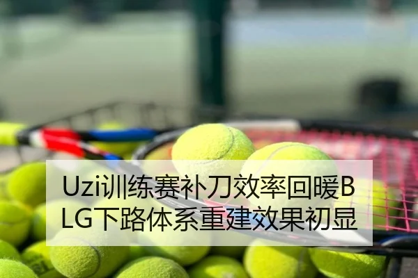 Uzi训练赛补刀效率回暖BLG下路体系重建效果初显