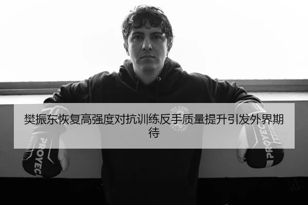 樊振东恢复高强度对抗训练反手质量提升引发外界期待